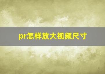 pr怎样放大视频尺寸