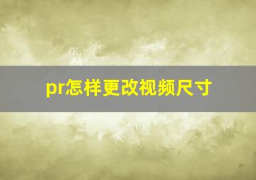 pr怎样更改视频尺寸