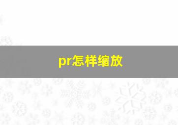 pr怎样缩放