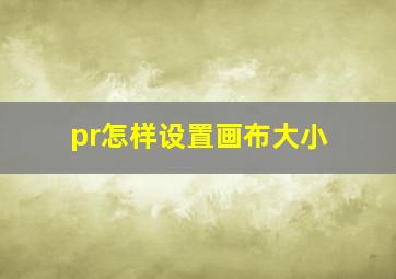 pr怎样设置画布大小