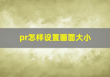 pr怎样设置画面大小