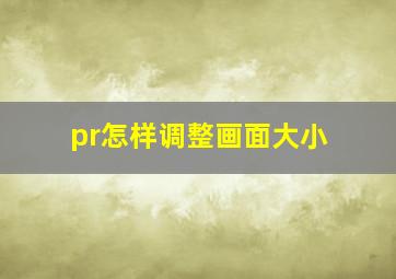 pr怎样调整画面大小