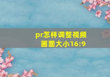 pr怎样调整视频画面大小16:9