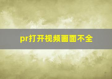 pr打开视频画面不全