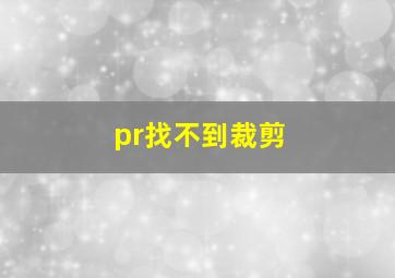 pr找不到裁剪