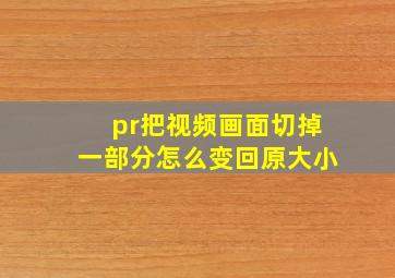 pr把视频画面切掉一部分怎么变回原大小