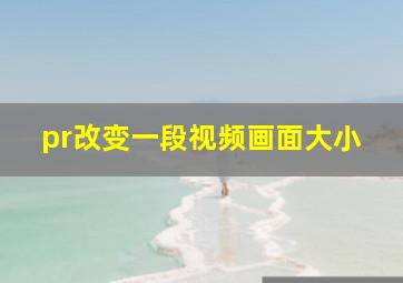 pr改变一段视频画面大小