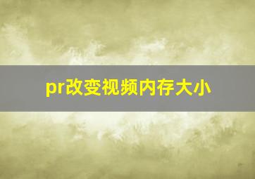 pr改变视频内存大小