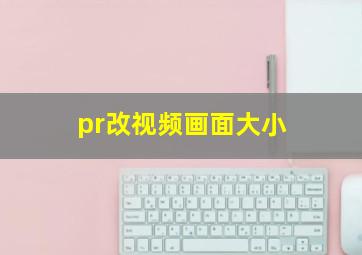 pr改视频画面大小