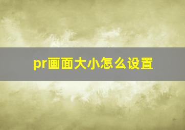 pr画面大小怎么设置