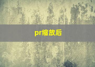 pr缩放后