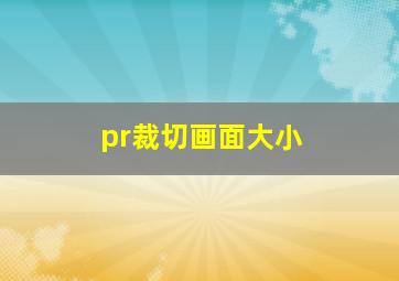 pr裁切画面大小