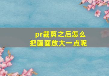 pr裁剪之后怎么把画面放大一点呢