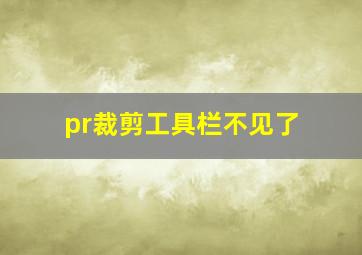 pr裁剪工具栏不见了