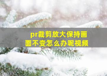 pr裁剪放大保持画面不变怎么办呢视频