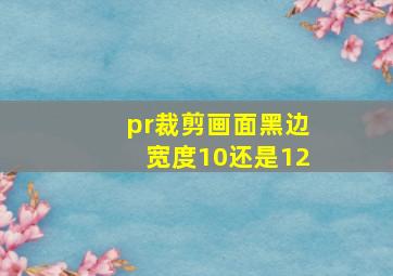 pr裁剪画面黑边宽度10还是12