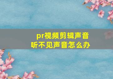 pr视频剪辑声音听不见声音怎么办