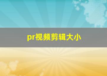 pr视频剪辑大小