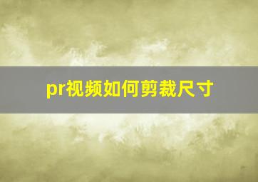 pr视频如何剪裁尺寸