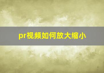 pr视频如何放大缩小