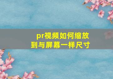 pr视频如何缩放到与屏幕一样尺寸