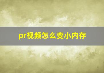 pr视频怎么变小内存