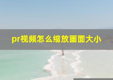 pr视频怎么缩放画面大小