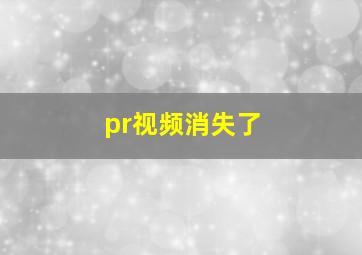 pr视频消失了