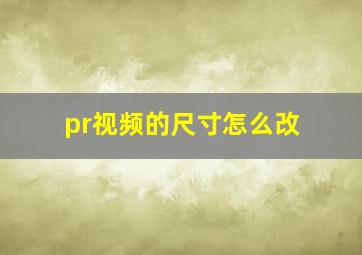 pr视频的尺寸怎么改