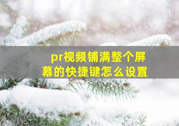 pr视频铺满整个屏幕的快捷键怎么设置