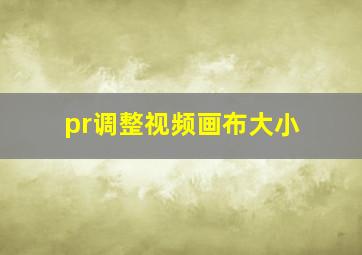 pr调整视频画布大小