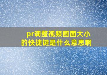 pr调整视频画面大小的快捷键是什么意思啊