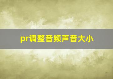 pr调整音频声音大小