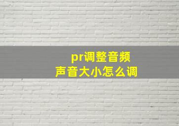 pr调整音频声音大小怎么调