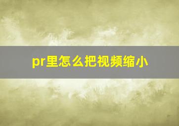 pr里怎么把视频缩小