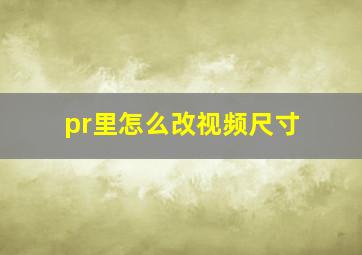 pr里怎么改视频尺寸