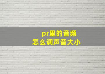 pr里的音频怎么调声音大小