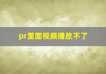 pr里面视频播放不了