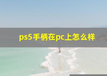 ps5手柄在pc上怎么样