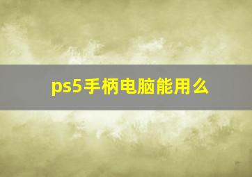 ps5手柄电脑能用么