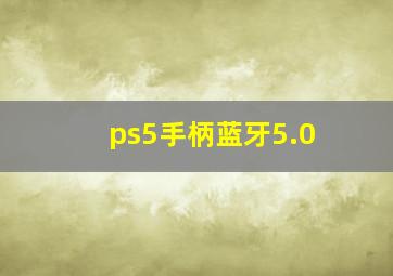 ps5手柄蓝牙5.0