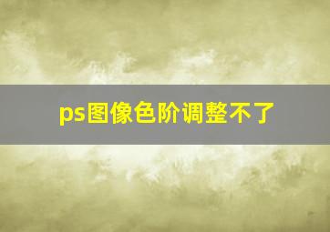 ps图像色阶调整不了