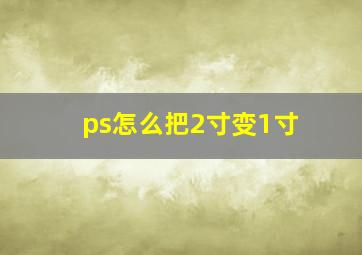 ps怎么把2寸变1寸