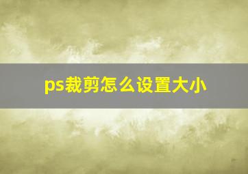 ps裁剪怎么设置大小