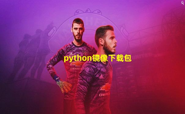 python镜像下载包