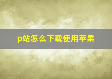 p站怎么下载使用苹果