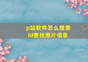 p站软件怎么搜索id查找图片信息