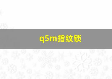 q5m指纹锁