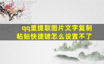 qq里提取图片文字复制粘贴快捷键怎么设置不了