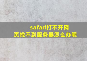 safari打不开网页找不到服务器怎么办呢